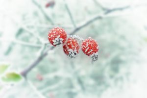 Lees meer over het artikel 5 tips om putteke winter energiek door te komen.